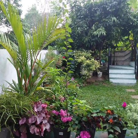 Jungle View One Bedroom Private Apartment Unawatuna Zewnętrze zdjęcie