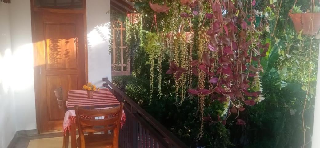 Jungle View One Bedroom Private Apartment Unawatuna Zewnętrze zdjęcie