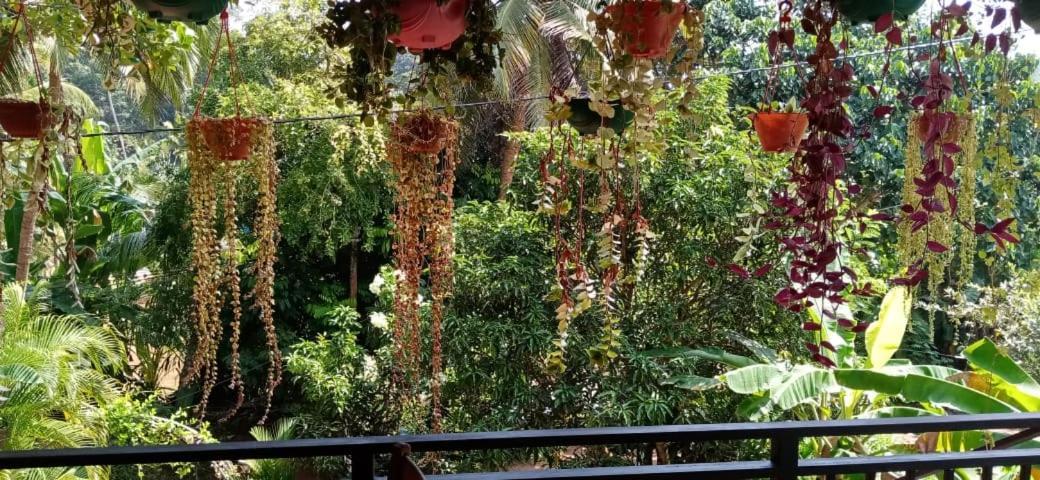 Jungle View One Bedroom Private Apartment Unawatuna Zewnętrze zdjęcie